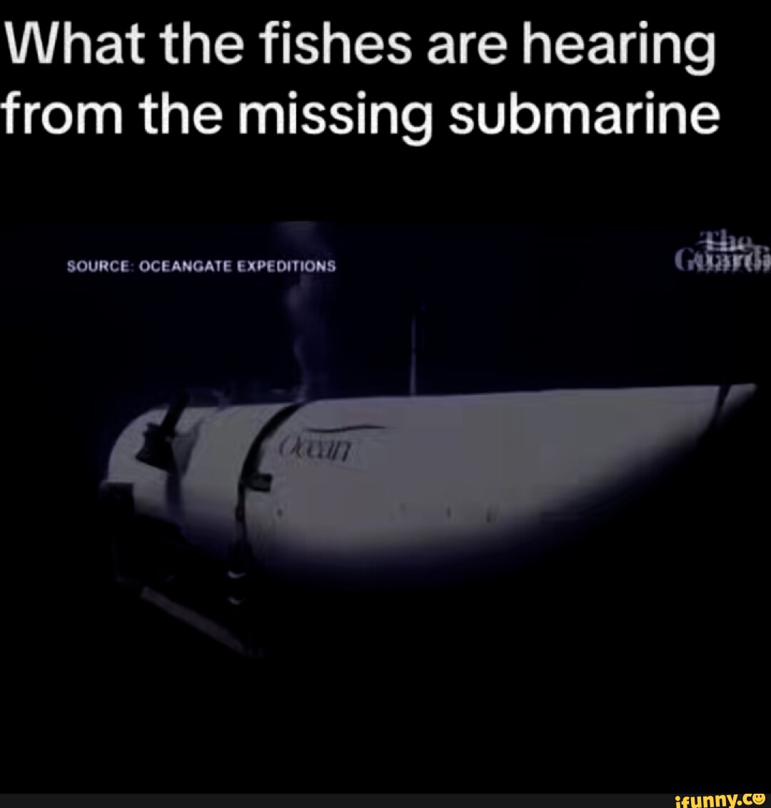 What the fishes are hearing from the missing submarine SOURCE ...