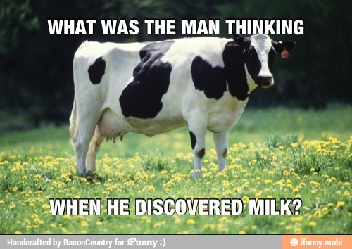 WHAT WAS THE MAN THINKING