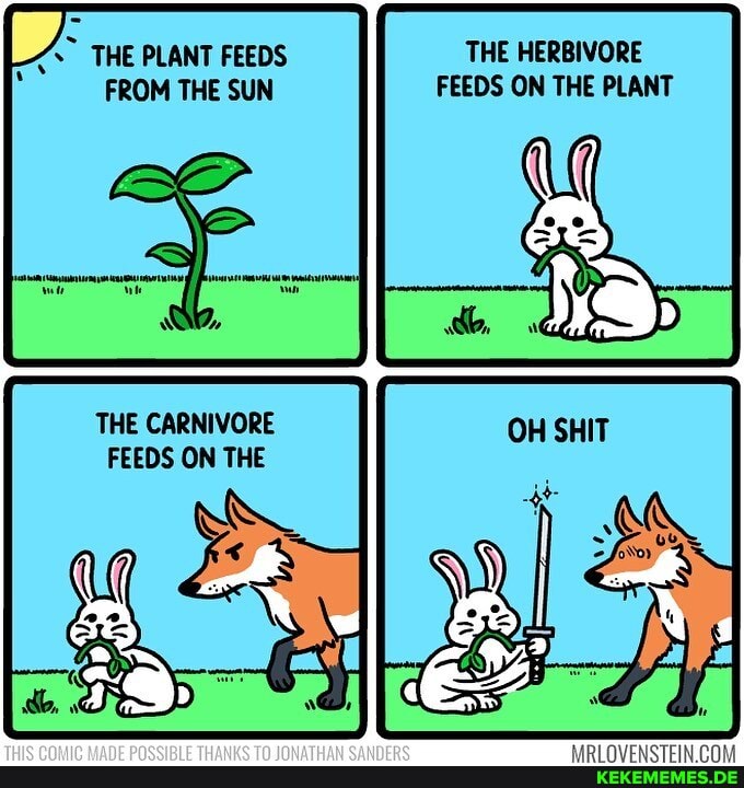 THE PLANT FEEDS FROM THE SUN THE CARNIVORE FEEDS ON THE THE HERBIVORE FEEDS ON T