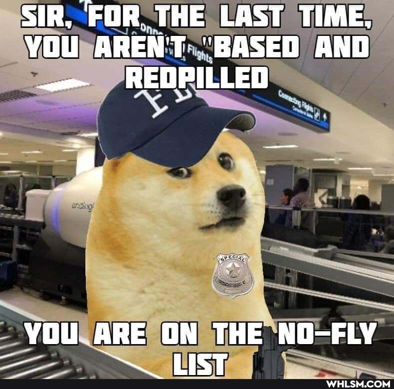 SIR, FOR, THE LAST TIME,
YOU AREN'T "BASED AND
- REDPILLED
vou. ARE ON THE NO-FLY