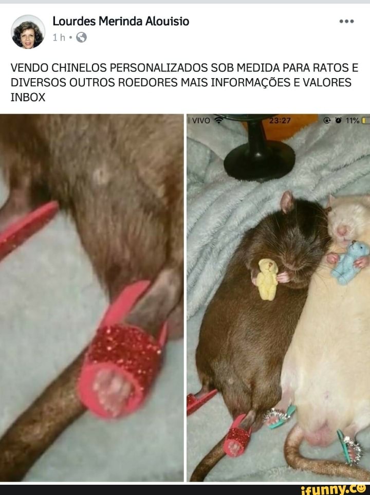 o
VENDO CHINELOS PERSONALIZADOS SOB MEDIDA PARA RATOS E
DIVERSOS OUTROS ROEDORES MAIS INFORMAÇÕES E VALORES
INBOX
