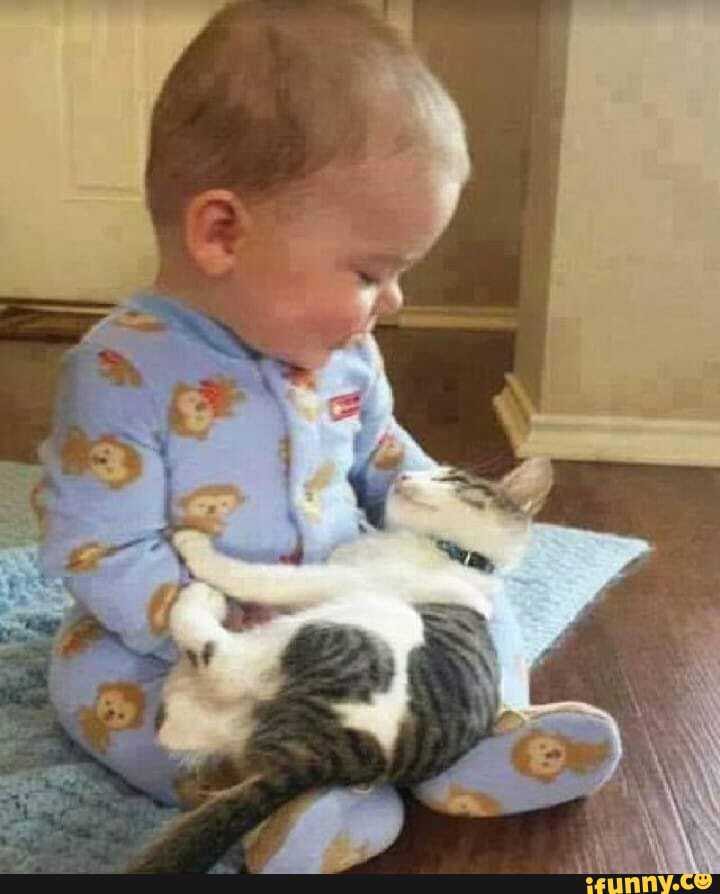 babies, cats, unbreakable, bond