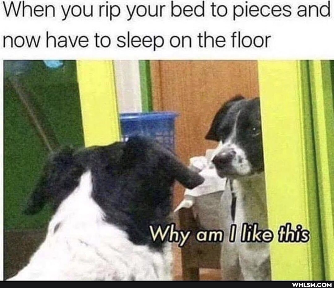 When you rip your bed to pieces and now have to sleep on the floor
om like