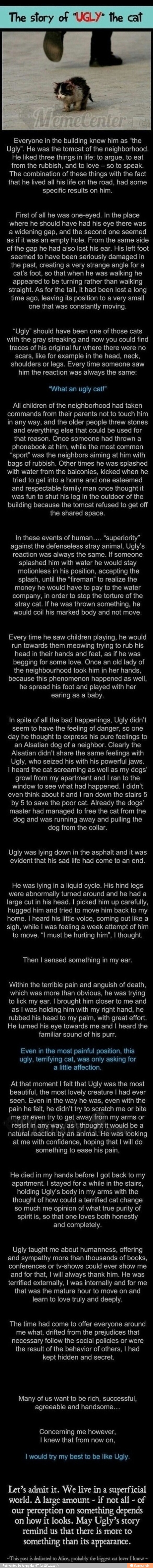 Everyone in the building knew him as "the
Ugly". He was the tomcat of the neighborhood.
He liked three things in life: to argue, to eat
from the rubbish, and to love
so to speak.
The combination of these things with the fact
that he lived all his life on the road, had some
specific results on him.
First of all he was one-eyed. In the place
where he should have had his eye there was
a widening gap, and the second one seemed
as if it was an empty hole. From the same side
of the gap he had also lost his ear. His left foot
seemed to have been seriously damaged in
the past, creating a very strange angle for a
cat's foot, so that when he was walking he
appeared to be turning rather than walking
straight. As for the tail, it had been lost a long
time ago, leaving its position to a very small
that constantly moving.