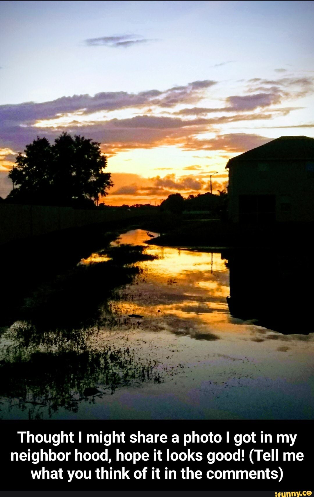 Thought I might share a photo I got in my neighbor hood, hope it looks good! (Tell me what you think of it in the comments) - Thought I might share a photo I got in my neighbor hood, hope it looks good! (Tell me what you think of it in the comments)