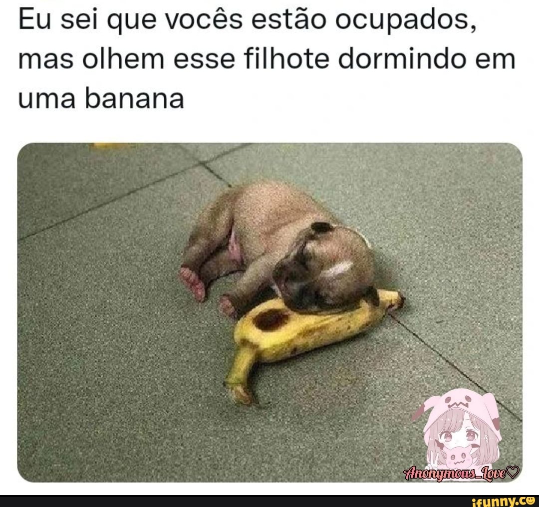 Eu Sei Que Vocês Estão Ocupados Mas Olhem Esse Filhote Dormindo Em Uma Banana Ifunny Brazil 
