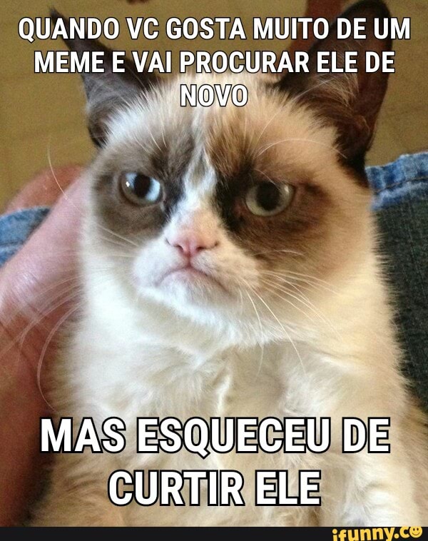QUANDO VC GOSTA MUITO DE UM
MEME E VAI PROCURAR ELE DE