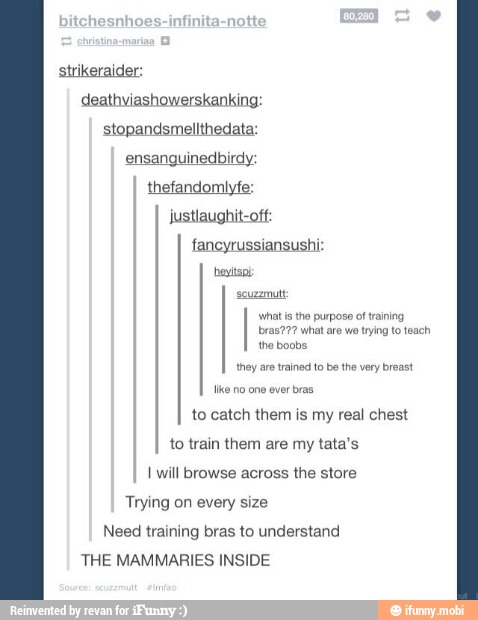 strikeraider:
deathviashowerskanking:
stopandsmellthedata:
justlaughit-off:
to catch them is my real chest
to train them are my tata's
I will browse across the store
Trying on every size
Need training bras to understand
THE MAMMARIES INSIDE