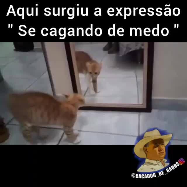 Agora dessa vez deu medo#CapCut #ratopretodancando #meme #assustador #