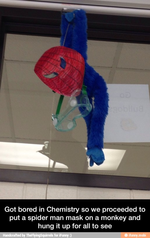 Got bored in Chemistry so we proceeded to
put a spider man mask on a monkey and
hung it up for all to see - Got bored in Chemistry so we proceeded to put a spider man mask on a monkey and hung it up for all to see