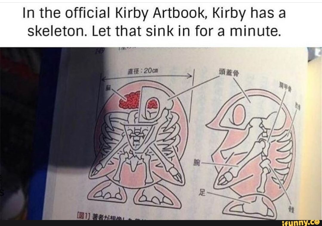 In the official Kirby Artbook, Kirby has a
skeleton. Let that sink in for a minute.