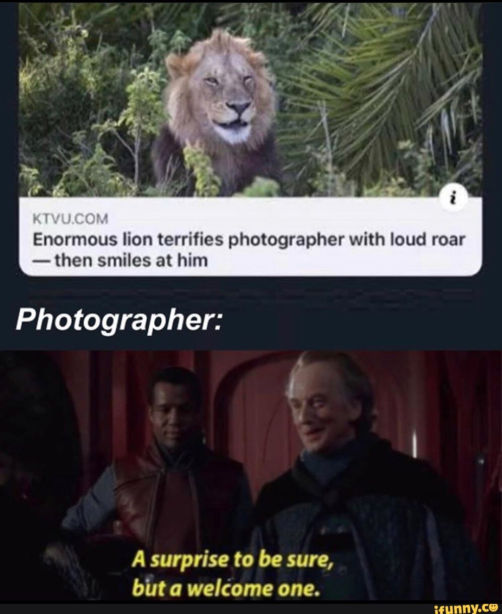 Enormous lion terrifies photographer with loud roar - then smiles at ...