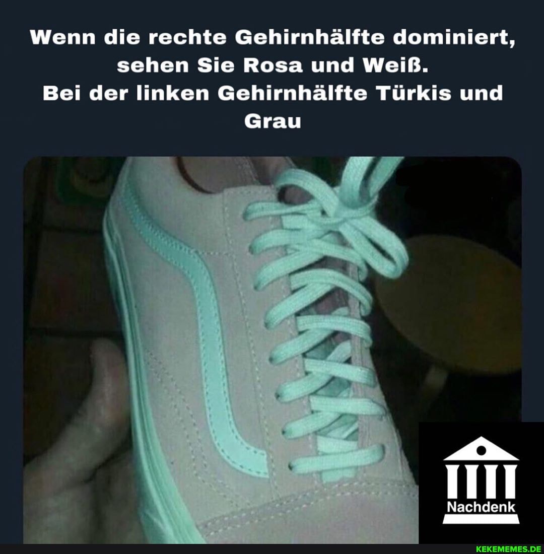Wenn die rechte Gehirnhälfte dominiert, sehen Sie Rosa und Weiß.
Bei der linken Gehirnhälfte Türkis und
Grau
Nachdenk