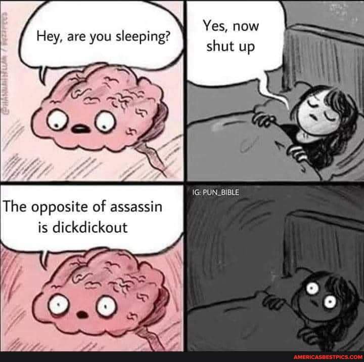 Yes, now shut up
Hey, are you sleeping?
The opposite of assassin is dickdickout