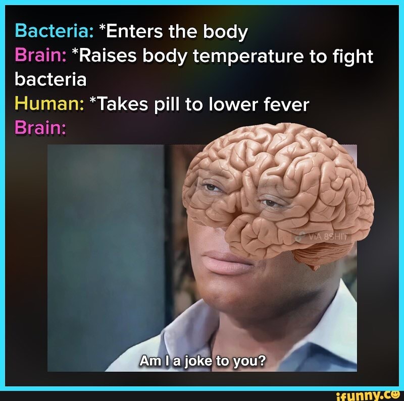 Bacteria: *Enters the body Brain: 