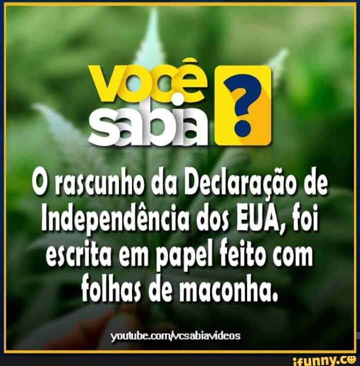 O rascunho
RA esc
de
Independência dos EUA, foi
escrita em papel feito com
folhas de maconha,