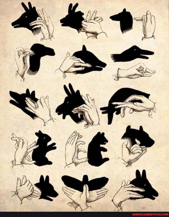 master, shadows