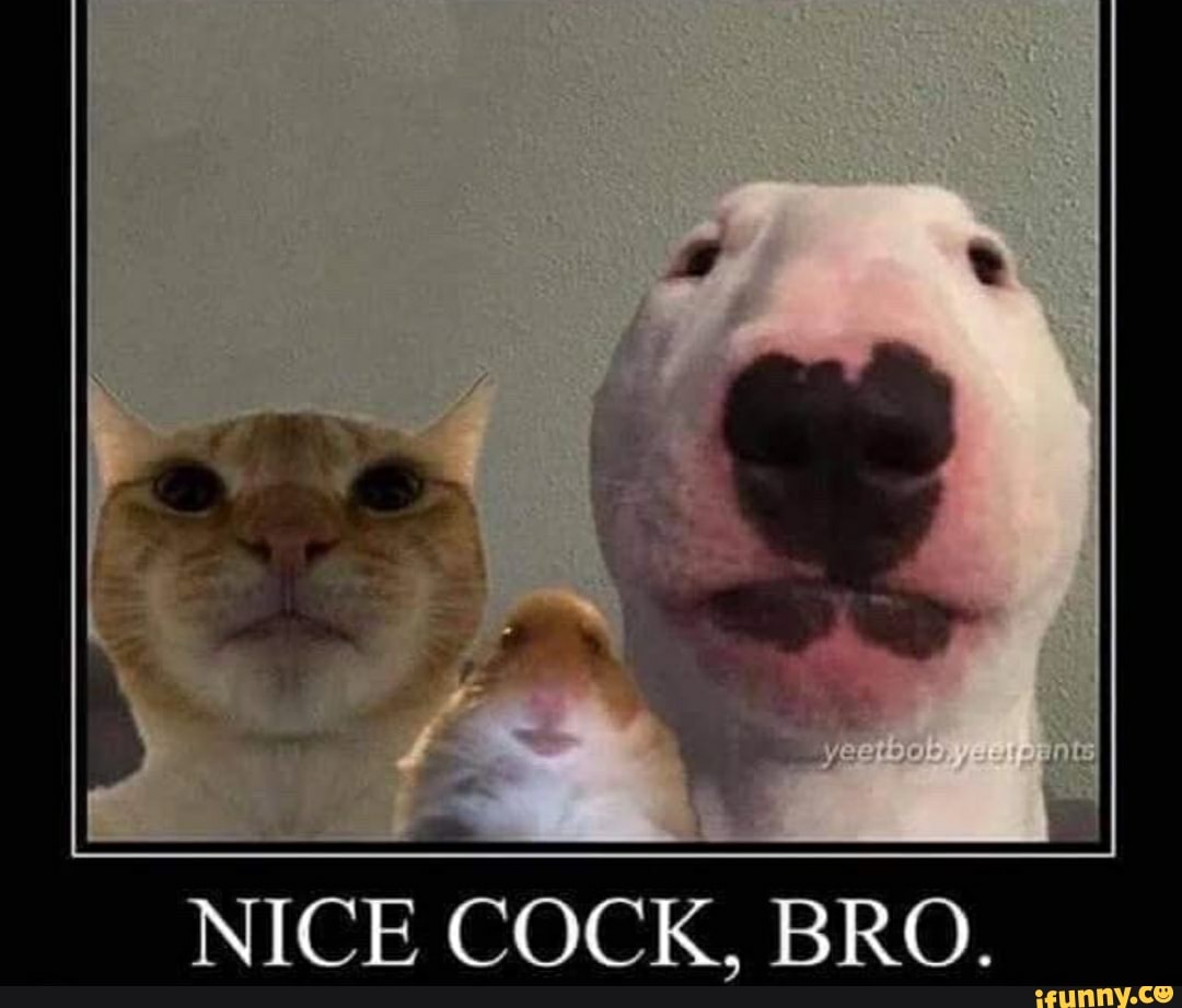 Nice cock.bro