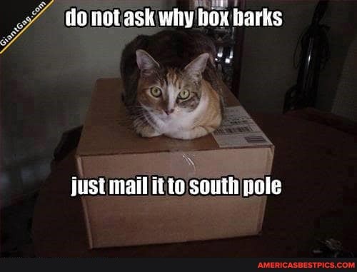 do aSk why box barks
just mail it ta soul pole