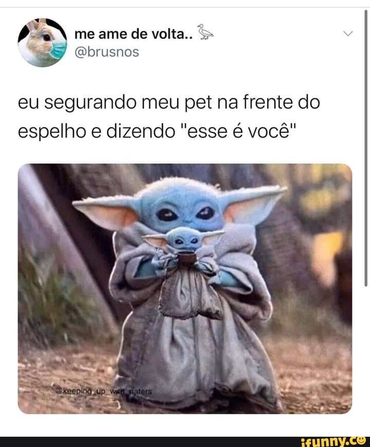 eu segurando meu pet na frente do
espelho e dizendo "esse é você"