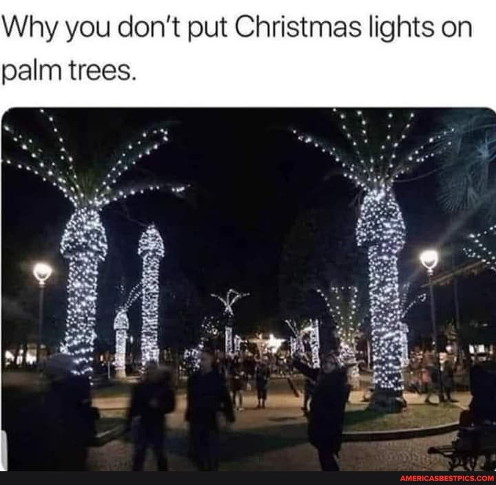 Why you don't put Christmas lights on palm trees.