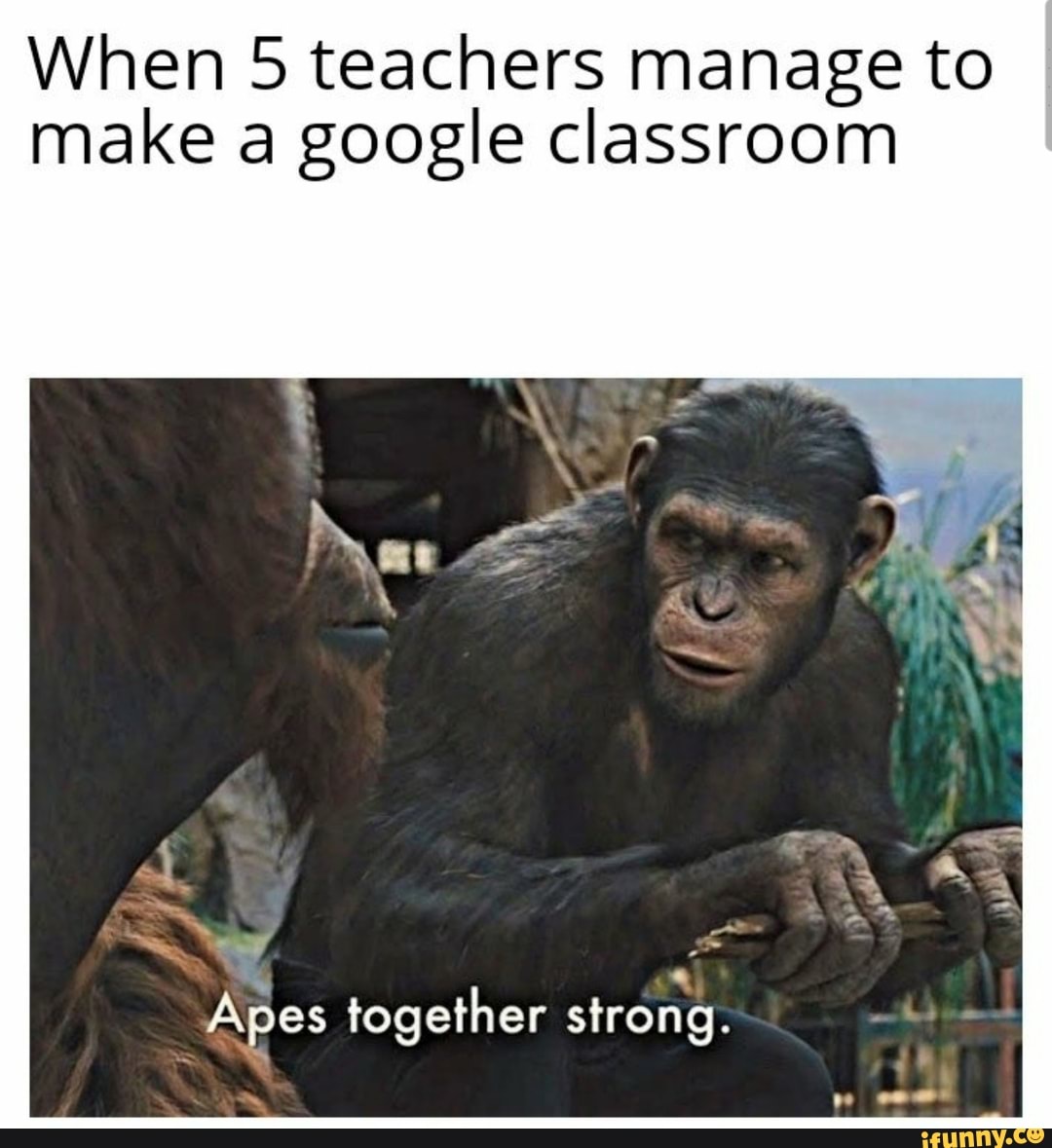 when-5-teachers-manage-to-make-a-google-classroom-apes-together-strong