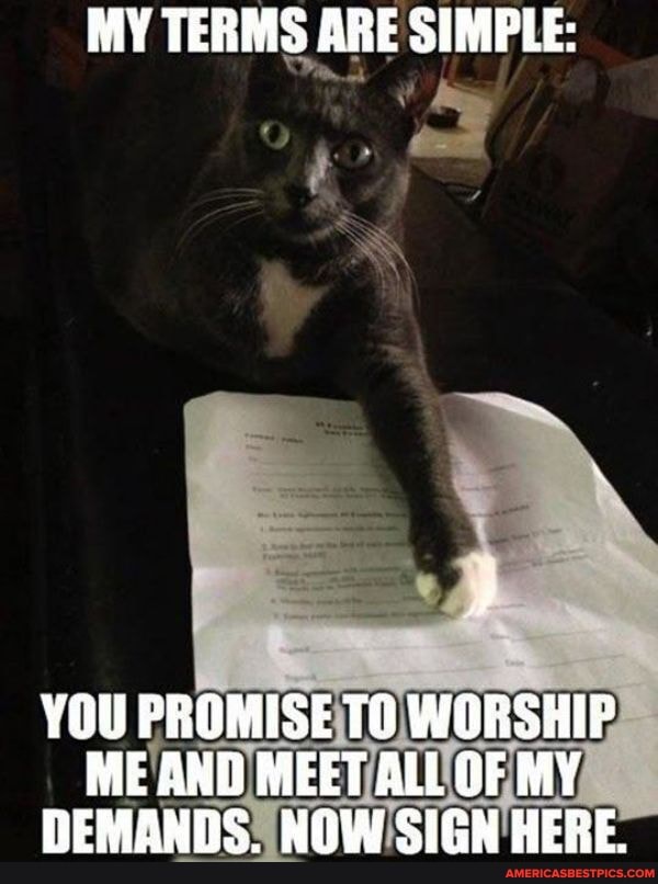 MY TERMS ARE SIMPLE:
YOU PROMISE TO WORSHIP ME AND MEET ALL OF MY DEMANDS. NOW SIGN HERE.