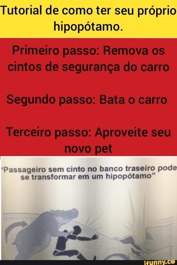 Tutorial de como ter seu próprio hipopótamo.
Primeiro passo: Remova os cintos de segurança do carro
Segundo passo: Bata o carro
Terceiro passo: Aproveite seu novo pet
'Passageiro sem cinto no banco traseiro pode se transformar em um hipopótamo