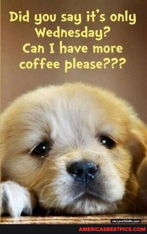 Did you say it's only
Wednesday?
Can I have more coffee please???