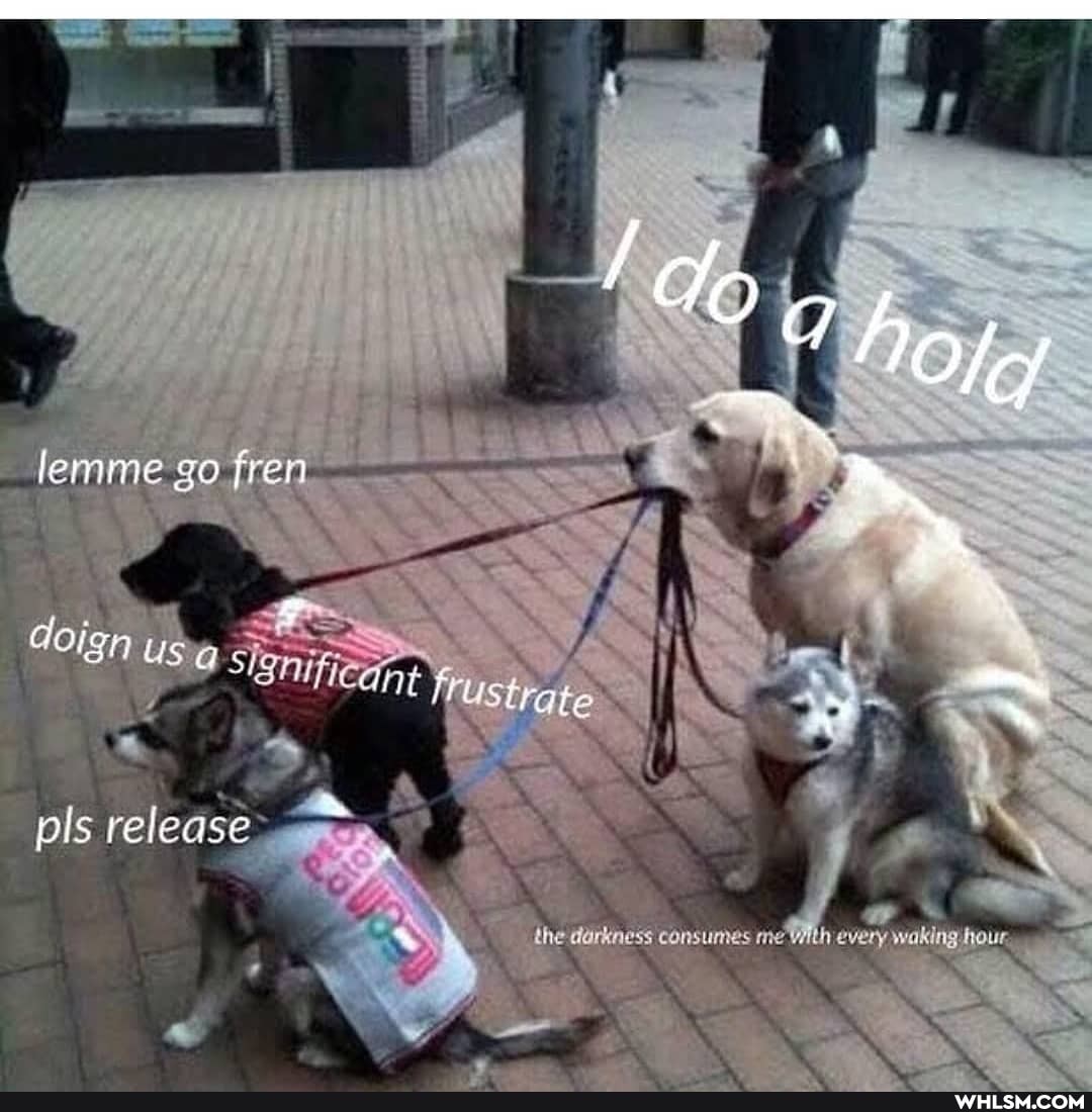 lemme fren
ols release