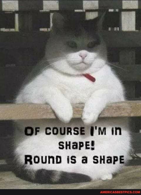 COURSE
SHape!
ROUND is SHaPE