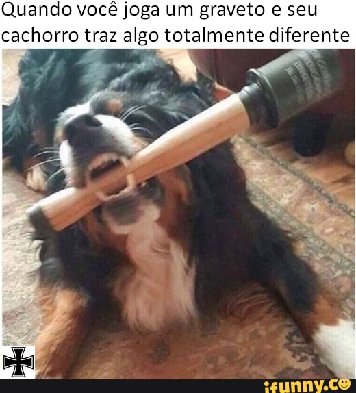 Quando você joga um graveto e seu cachorro traz algo totalmente diferente