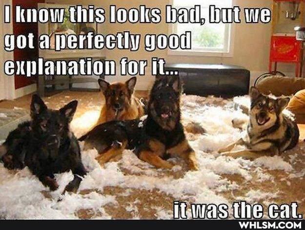 wola perfectly goothe. 2: exmlanation fer ti.---
hoonnn 44458 nat