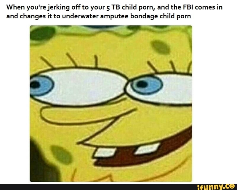 When you're jerking off to your 5 TB child porn, and the FBI ...