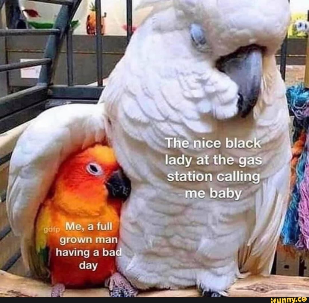 The nice black
lady atthe gas
station calling
me baby
Me, full
grown man having a bad
day