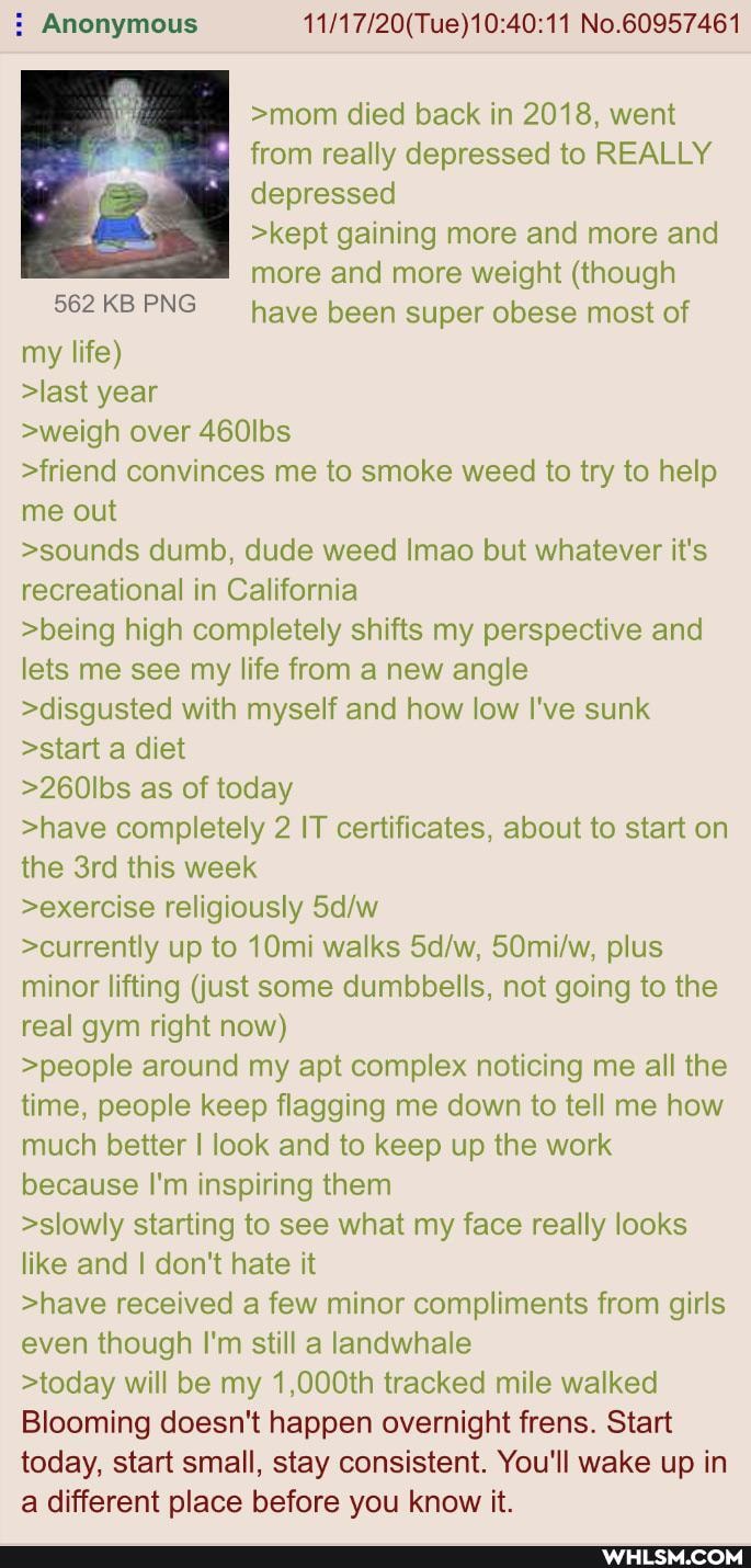 Anonymous No.60957461
>mom died back in 2018, went
from really depressed to REALLY
depressed
>kept gaining more and more and
more and more weight (though
562KBPNG have been super obese most of
my life)
>last year
>weigh over 460lbs
>friend convinces me to smoke weed to try to help
me out
>sounds dumb, dude weed Imao but whatever it's
recreational in California
>being high completely shifts my perspective and
lets me see my life from a new angle
>disgusted with myself and how low I've sunk
>start a diet
>260lbs as of today
>have completely 2 IT certificates, about to start on
the Srd this week
>exercise religiously
>currently up to 10mi walks SOmihw, plus
minor lifting (just some dumbbells, not going to the
real gym right now)
>people around my apt complex noticing me all the
time, people keep flagging me down to tell me how
much better look and to keep up the work
because I'm inspiring them
>slowly starting to see what my face really looks
like and I don't hate it
>have received a few minor compliments from girls
even though I'm still a landwhale
>today will be my 1,000th tracked mile walked
Blooming doesn't happen overnight frens. Start
today, start small, stay consistent. You'll wake up in
a different place before you know it.