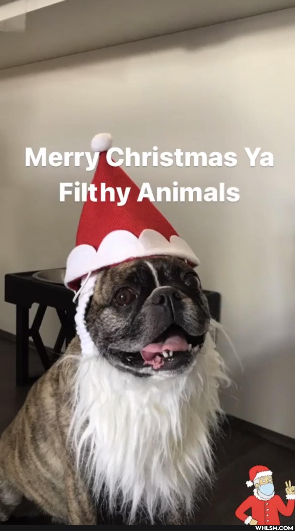 Merry Christmas Ya
Filthy Animals