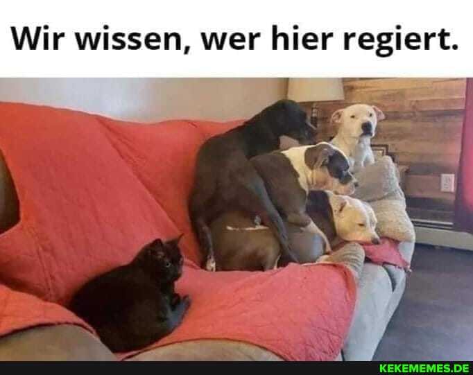 Wir wissen, wer hier regiert.
