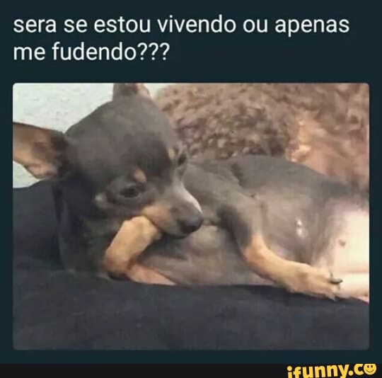 sera se estou vivendo ou apenas
me fudendo???