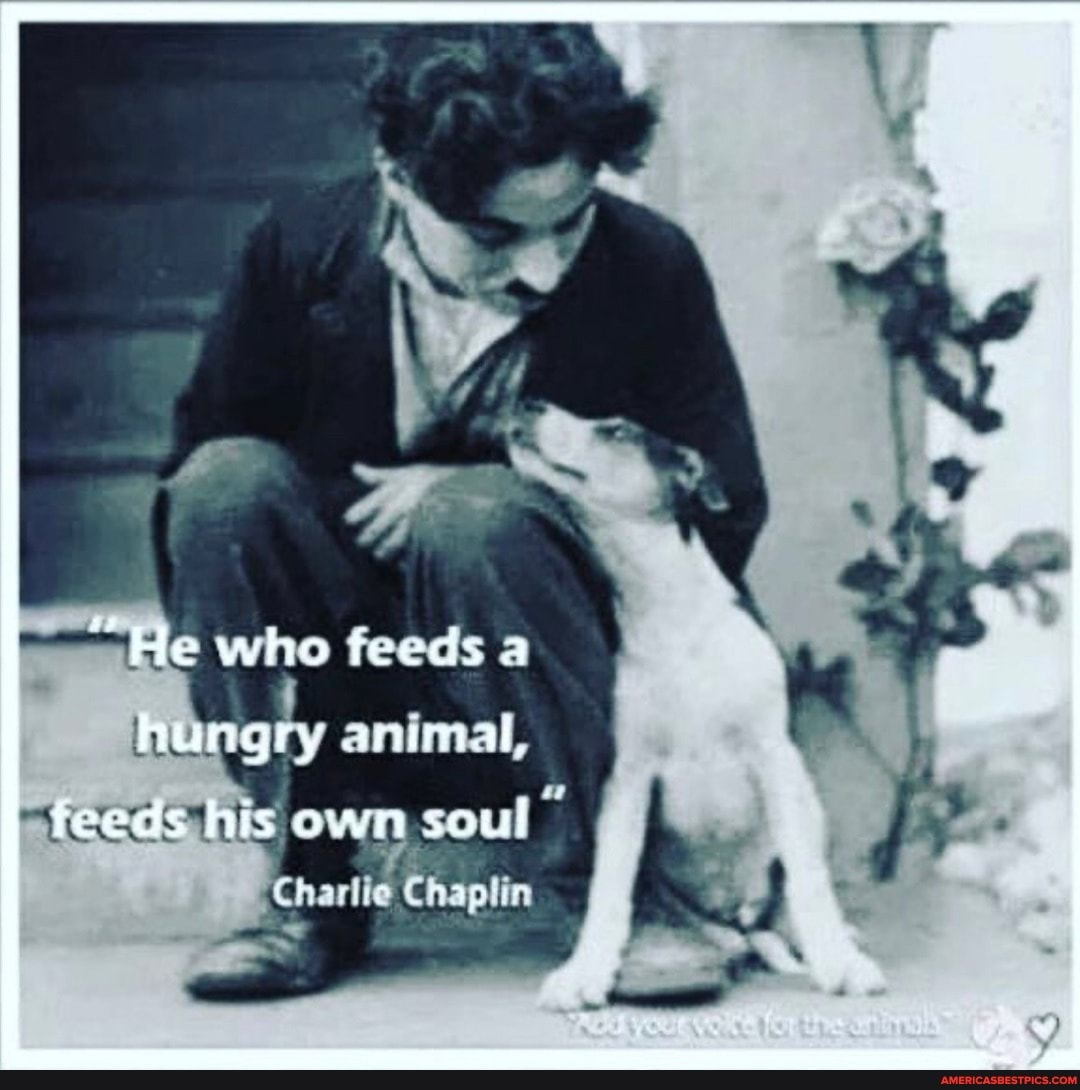 He who feeds a hungry animal, feeds his own own soul harlie Chaplin