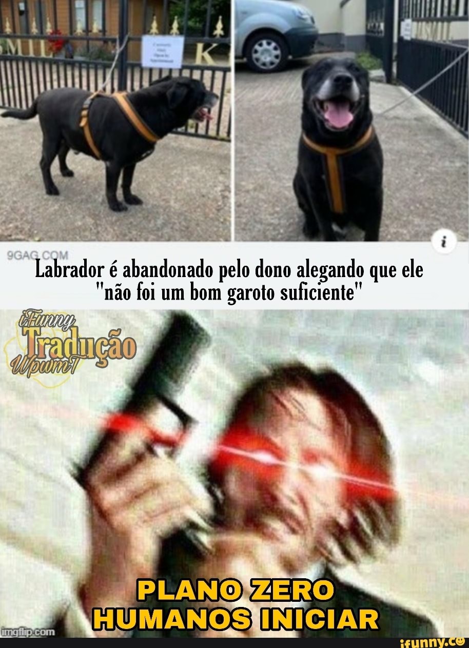 Labrador é abandonado pelo dono alegando que ele
não foi um
bom garoto suficiente"