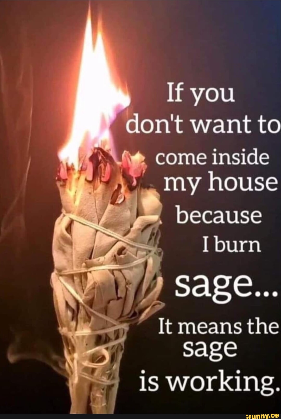 If you don't want to come inside my house because I burn WY It means the  sage is working. - iFunny Brazil