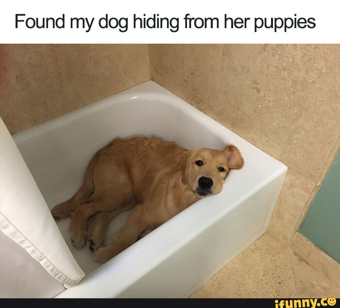 "Do you see a bathroom? I don't " This is awesome!! 😅😅😅😀 )