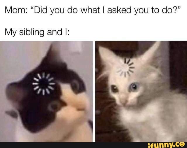 Mom: "Did you do what I asked you to do?"
My sibling and