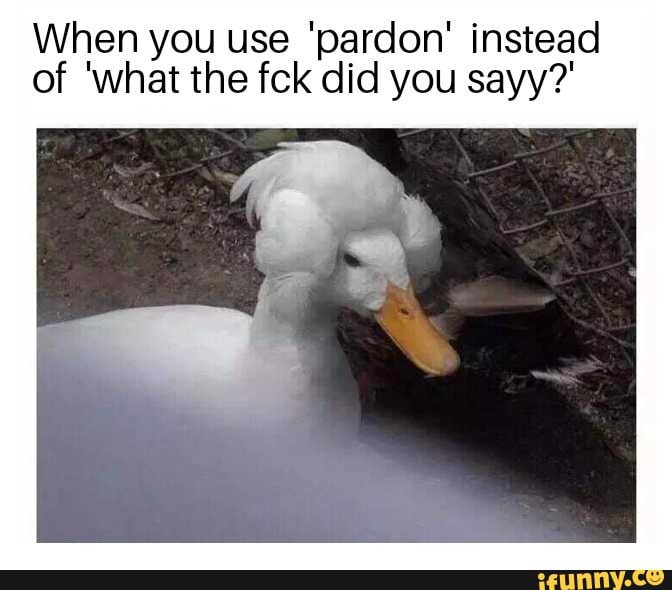 When you use 'pardon' instead
of 'what the fck did you sayy?'