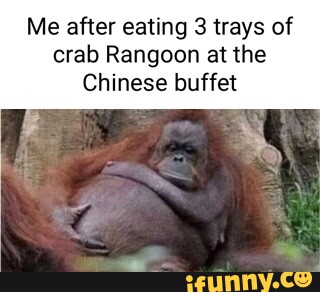 Me after eating 3 trays of crab Rangoon at the Chinese buffet - iFunny