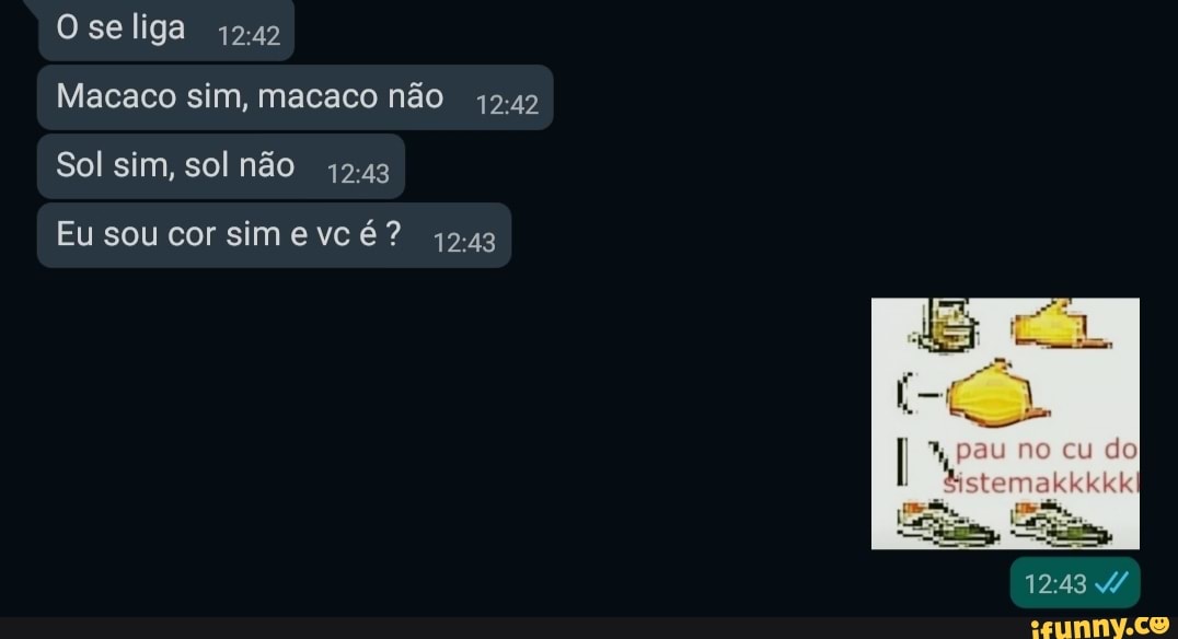 Oseliga
Macaco sim, macaco não
Sol sim, sol não
Eu sou corsimevc é? 1243