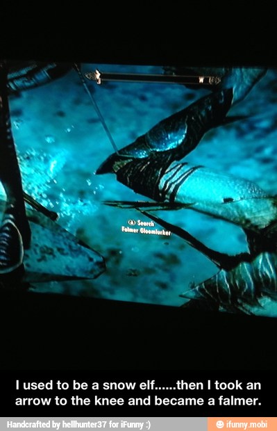 arrow to the knee and became a falmer. - I used to be a snow elf......then I took an arrow to the knee and became a falmer.