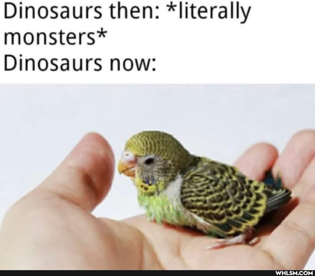 Dinosaurs then: *literally monsters*
Dinosaurs now: