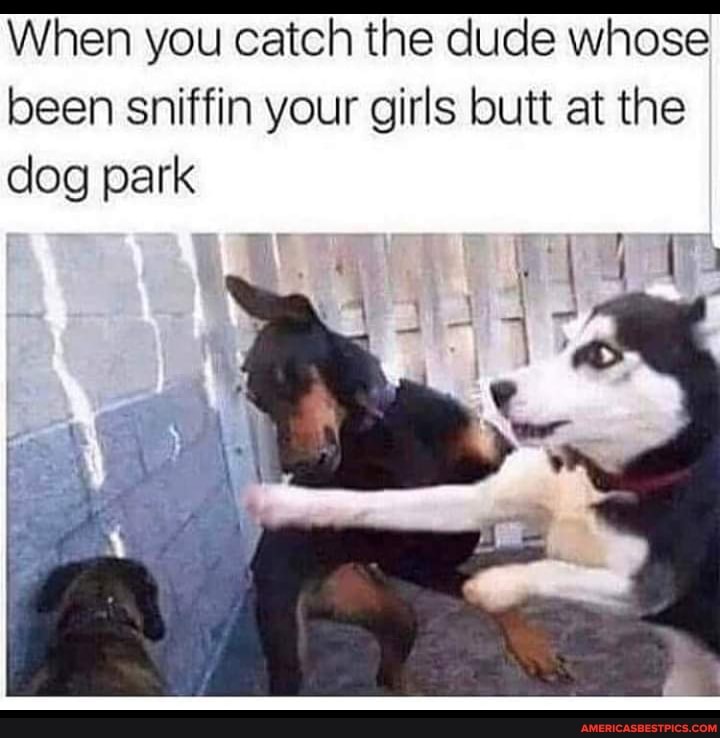 When you catch the dude whose been sniffin your girls butt at the dog park